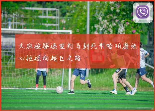 文班被驱逐宣判马刺死刑哈珀磨练心性迈向超巨之路