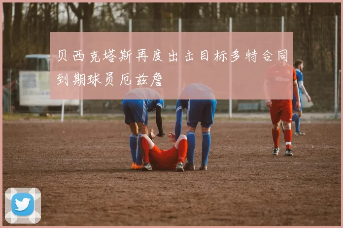 贝西克塔斯再度出击目标多特合同到期球员厄兹詹