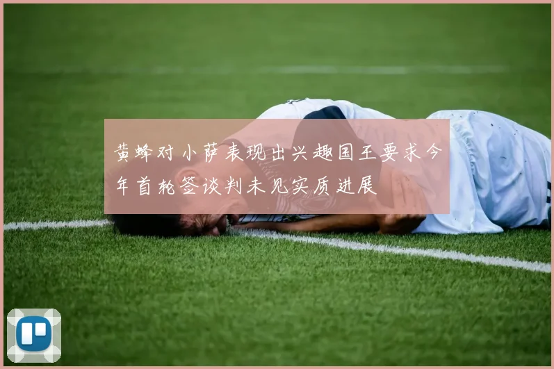 黄蜂对小萨表现出兴趣国王要求今年首轮签谈判未见实质进展