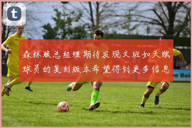 森林狼总经理期待发现文班如天赋球员的复刻版本希望得到更多信息